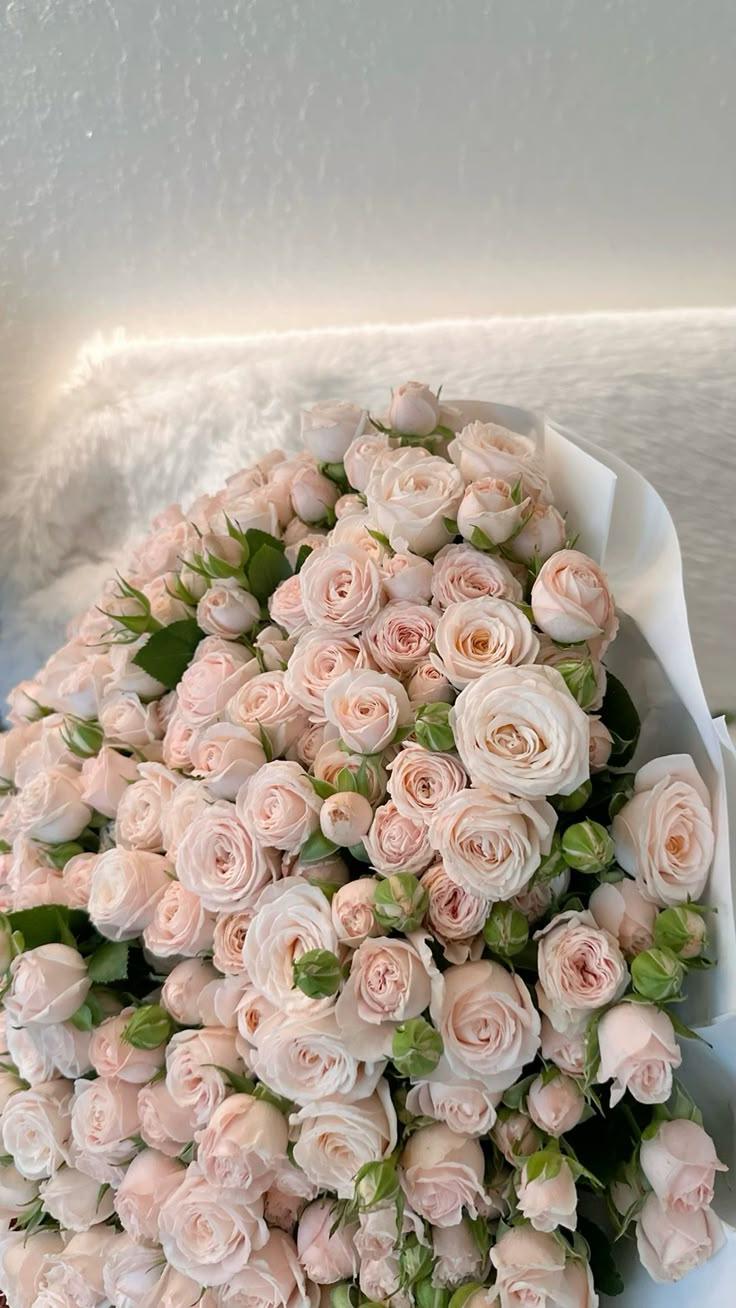 Whispers of Blossoms: A Silent Ode